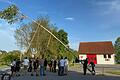 Bis der Baum letztendlich sicher stand, mussten die Schwemmelsbacher Maibaum-Burschen noch ein bisschen Kraft anwenden.