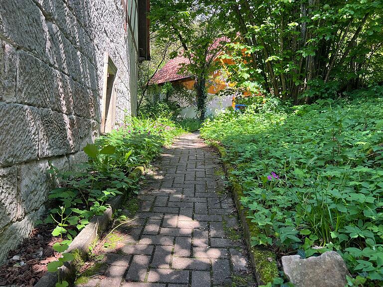 Üppiges Wachstum entlang des Weges: Otto Elsner empfiehlt, die Vorstellung eines 'aufgeräumten Gartens' zu überdenken. Üppiges Wachstum entlang des Weges: Otto Elsner empfiehlt, die Vorstellung eines 'aufgeräumten Gartens' zu überdenken.