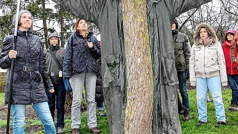 Ein Mann wie ein Baum? Eigentlich will Marius Wittur nur demonstrieren, wie die Leitäste am besten wachsen sollen.