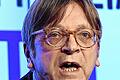 BELGIUM-EU-ELECTIONS-PARLIAMENT-DEBATE       -  Guy Verhofstadt