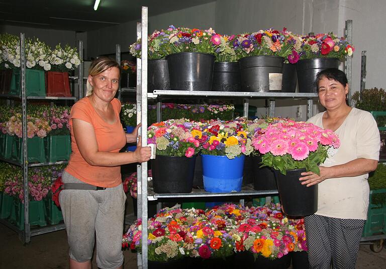 Die Mitarbeiterinnen Steffi Lötel (links) und Bui Thi Kim Thoa richten die Blumensträuße in der Gärtnerei von Bernd Lang, einem großen Schnittblumen-Betrieb in Etwashausen.