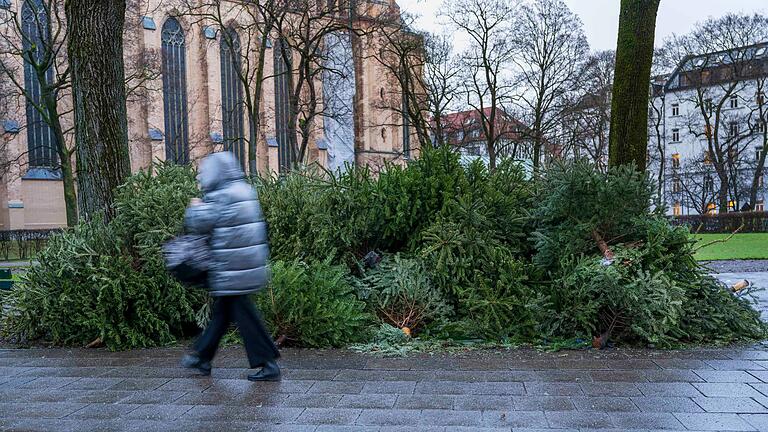 Illegal entsorgte Christbäume am Strassenrand       -  Manche Baum-Fans schmeißen ihre Bäume einfach auf die Straße (Archivbild).