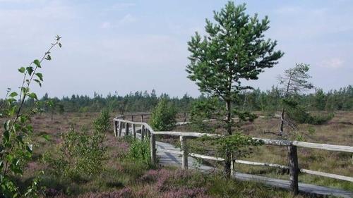 Vor 40 Jahren wurde der Naturpark Bayerische Rhön gegründet. Der Bau des Steges zum Schutz und Erhalt des Schwarzen Moores war nur eine der vielfältigen Aufgaben, die in diesen 40 Jahren geleistet wurden und im Rahmen eines Jubiläums-Festaktes gewürdigt wurde.       -  Vor 40 Jahren wurde der Naturpark Bayerische Rhön gegründet. Der Bau des Steges zum Schutz und Erhalt des Schwarzen Moores war nur eine der vielfältigen Aufgaben, die in diesen 40 Jahren geleistet wurden und im Rahmen eines Jubiläums-Festaktes gewürdigt wurde.