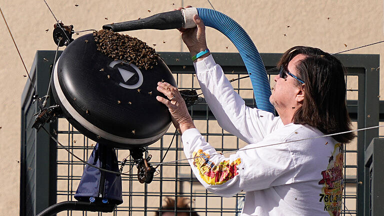 ATP-Tour in Indian Wells.jpeg       -  Ein Imker saugt mit einer Art Staubsauger Bienen ein. Diese hatten sich während des Spiels zwischen Alexander Zverev  und Carlos Alcaraz auf dem Tennisplatz breitgemacht.