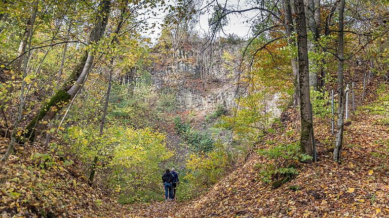 Am Basaltbruch wurde bis Mitte des 20. Jahrhunderts Gestein abgebaut. Als die Burganlage abzustürzen drohte, wurde der Steinbruchbetrieb eingestellt. Am Basaltbruch wurde bis Mitte des 20. Jahrhunderts Gestein abgebaut. Als die Burganlage abzustürzen drohte, wurde der Steinbruchbetrieb eingestellt.