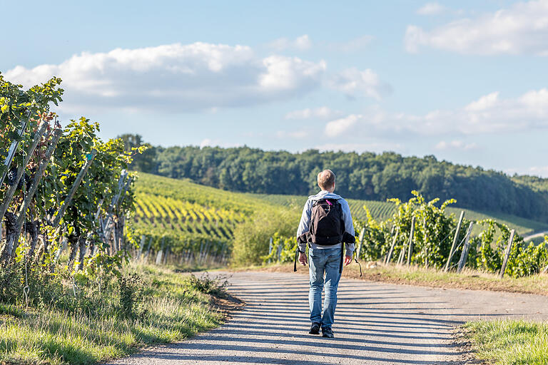 Die Tour schlängelt sich durch die Weinberge.