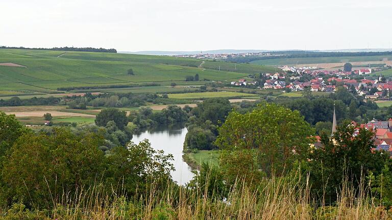 Der Main bei Untereisenheim, Obereisenheim und Fahr (Kirchturm rechts). Eine Machbarkeitsstudie soll prüfen, ob in den Wintermonaten in diesem Bereich Uferfiltrat für die Bewässerung der Felder rund um Bergtheim gewonnen werden kann. Der Main bei Untereisenheim, Obereisenheim und Fahr (Kirchturm rechts). Eine Machbarkeitsstudie soll prüfen, ob in den Wintermonaten in diesem Bereich Uferfiltrat für die Bewässerung der Felder rund um Bergtheim gewonnen werden kann.