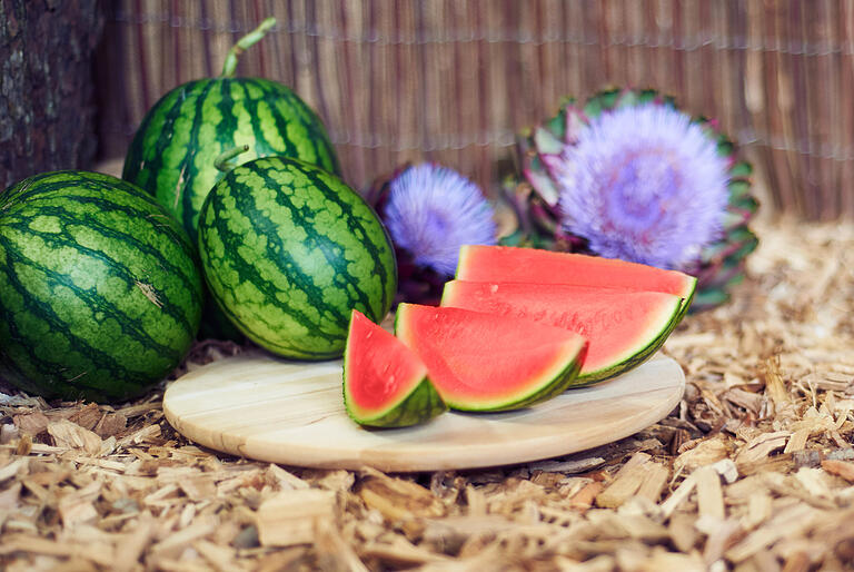 Seit einem Jahre haben die Daubingers auch Wassermelonen in ihrem Sortiment. Seit einem Jahre haben die Daubingers auch Wassermelonen in ihrem Sortiment.