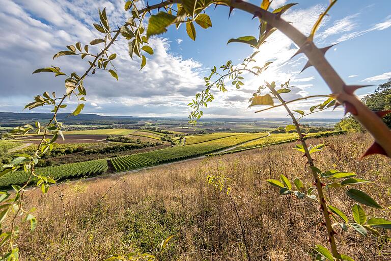 Unterwegs genießt man herrliche Panoramaausblicke. Unterwegs genießt man herrliche Panoramaausblicke.
