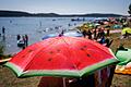 Sommerwetter am Brombachsee       -  In Bayern könnte heute der heißeste Tag des Jahres werden.