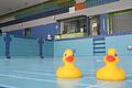 Stöpsel ziehen und Wasser ablassen, um Energie zu sparen? Für die Kommunen im Landkreis Kitzingen, hier das Aqua-sole in Kitzingen, ist das vorerst keine Option.