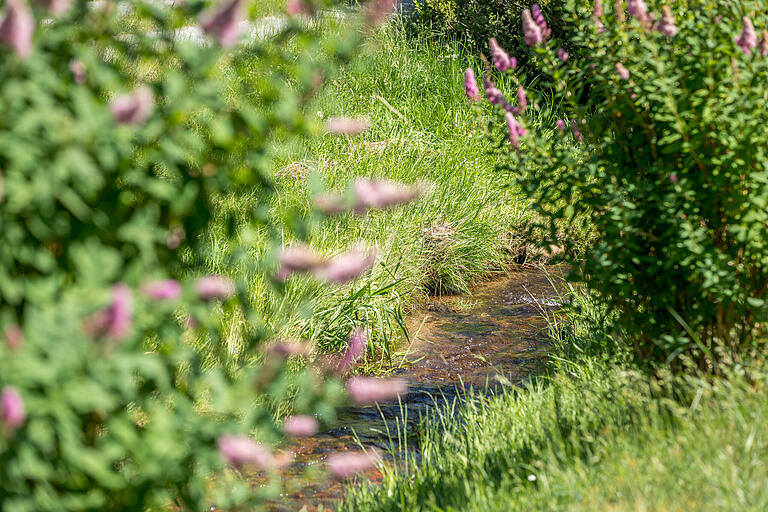 Unterwegs auf dem Räuberwanderweg in Mespelbrunn: Der Rückweg verläuft entlang des Bächleins 'Elsava'.