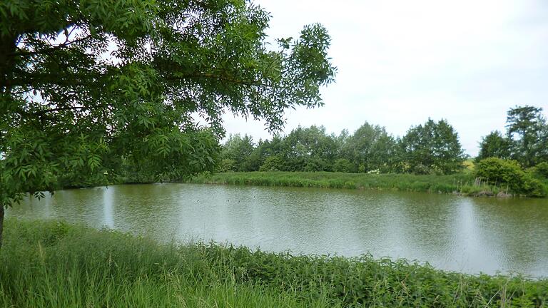 Die frühere Kläranlage für Thundorf ist heute ein Rückhaltebecken für den Abwasser-Zweckverband.       -  Die frühere Kläranlage für Thundorf ist heute ein Rückhaltebecken für den Abwasser-Zweckverband.