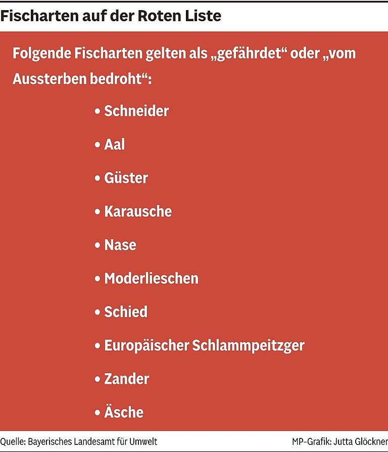 Der Main in Zahlen und Stichworten: Spannende Fakten zu Frankens wichtigstem Fluss Der Main in Zahlen und Stichworten: Spannende Fakten zu Frankens wichtigstem Fluss