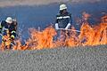 Auf trockenen Feldern hat Feuer ein leichtes Spiel: Feuerwehrleute versuchen den Brand mit sogenannten Waldbrandpatschen in Schach zu halten, bis die Versorgung mit Löschwasser steht.
