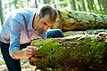 Dem Borkenkäfer auf der Spur: Jörg Müller,  Professor  für Tierökologie an der Uni Würzburg und stellvertretender Leiter des Nationalparks Bayerischer Wald.