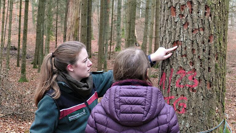 Revierleiterin Claudia Stiglbrunner erläutert einer Waldbesitzerin die typischen Erkennungsmerkmale von Eichenprachtkäferbefall. Revierleiterin Claudia Stiglbrunner erläutert einer Waldbesitzerin die typischen Erkennungsmerkmale von Eichenprachtkäferbefall.