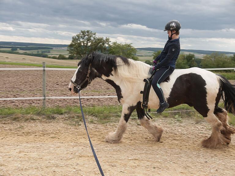 Guinness ist ein verlässlicher Therapiepartner. Hannah traut sich unter anderem, auf ihm zu traben und zu galoppieren.