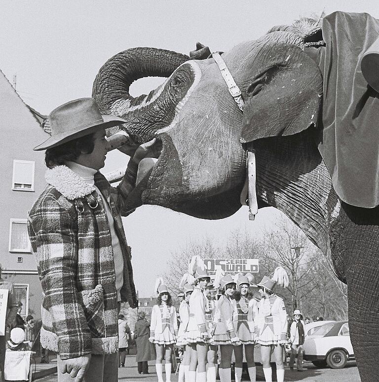 Guck mal, ein Elefant: Beim ersten Schweinfurter Faschingszug der ESKAGE 1979 war ein Zirkustier&nbsp; die Attraktion.&nbsp;