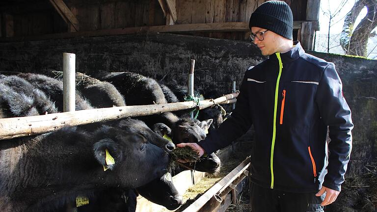 Sebastian Bausch züchtet Wagyu-Rinder als Hobby. Hier füttert er seine Kälber. - Sebastian Bausch züchtet Wagyu-Rinder als Hobby. Hier füttert er seine Kälber. Sebastian Bausch züchtet Wagyu-Rinder als Hobby. Hier füttert er seine Kälber. - Sebastian Bausch züchtet Wagyu-Rinder als Hobby. Hier füttert er seine Kälber.