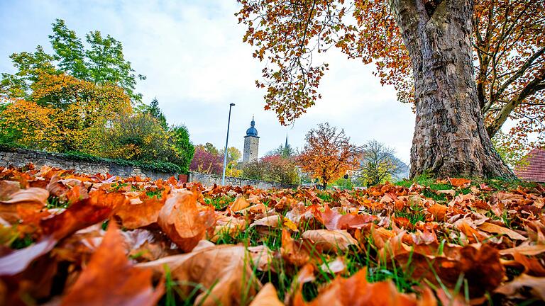 Warme und frohe Farben: Herbstlaub liegt vor dem Zeiler&nbsp;Hexenturm.