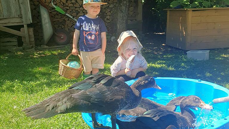 Kinder vom Kinderhof Sonnenschein beim Füttern unserer Enten.