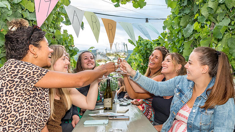 Wein am Stein       -  Zahlreiche Menschen besuchen am Freitag (21.07.23) das Musikfestival „Wein am Stein“ in den Weinbergen Würzburgs.