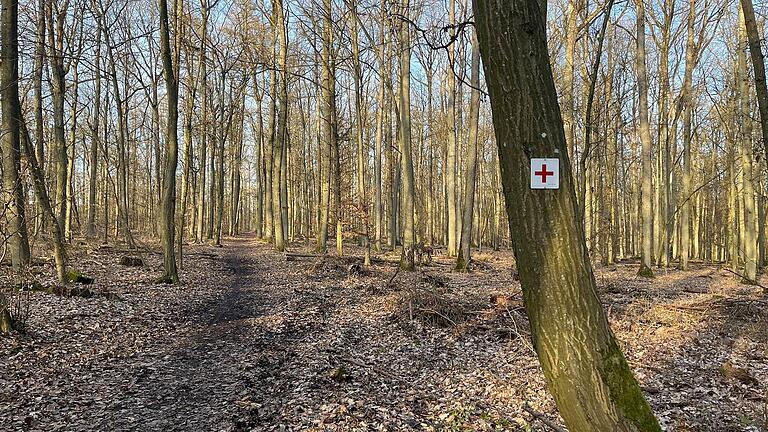 Für Harbauer ist einer der Pluspunkte seiner Lieblingsstrecke der Untergrund, da der waldige Boden gut für die Gelenke sei.