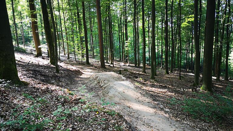 Der Flowtrail Burgsinn mit einem seiner Hindernisse.