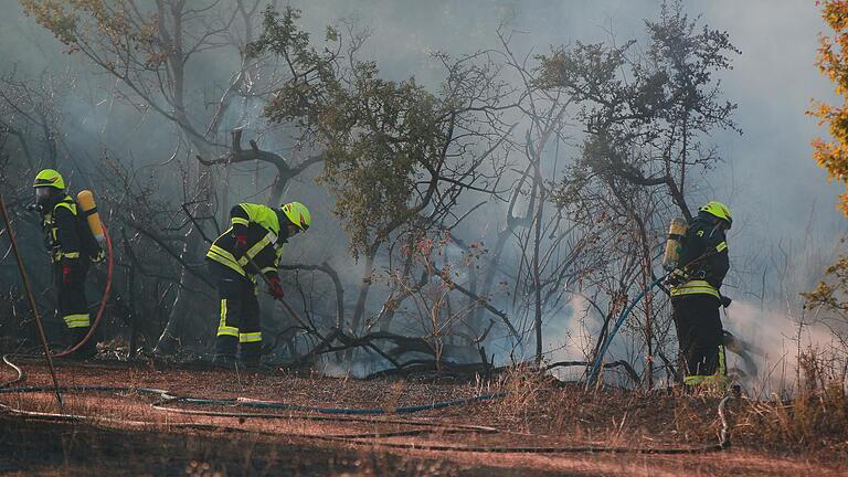 Die eingesetzten Feuerwehrleute bekämpften am Abend Brandherde und Glutnester, um die Ausweitung des Feuers auf angrenzende Waldflächen zu verhindern.