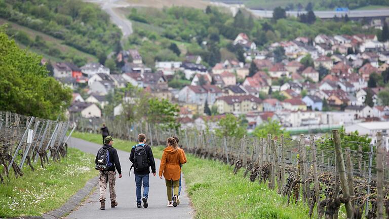 Der Landkreis Würzburg hat stabile Inzidenzwerte. Kommen bald weitere Lockerungen? Das Foto zeigt Spaziergänger an Christi Himmelfahrt in den Weinbergen bei Randersacker.