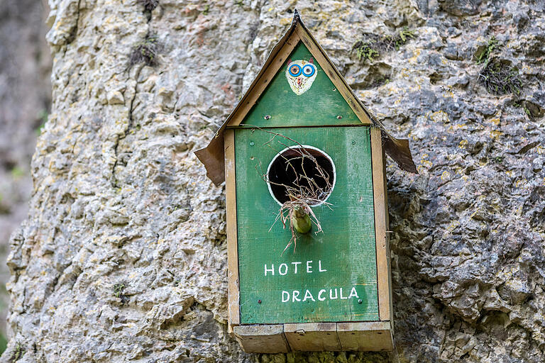 Ein außergewöhnliches Vogelhaus am Wegesrand.