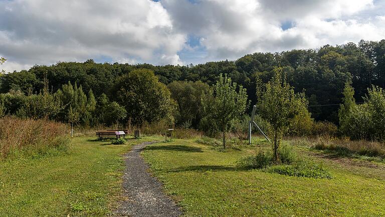 Noch stehen auf dem Gelände am Ortsrand nur Streuobstbäume – doch in Zukunft könnte hier das Tiny House Feriendorf Touristinnen und Touristen anziehen.