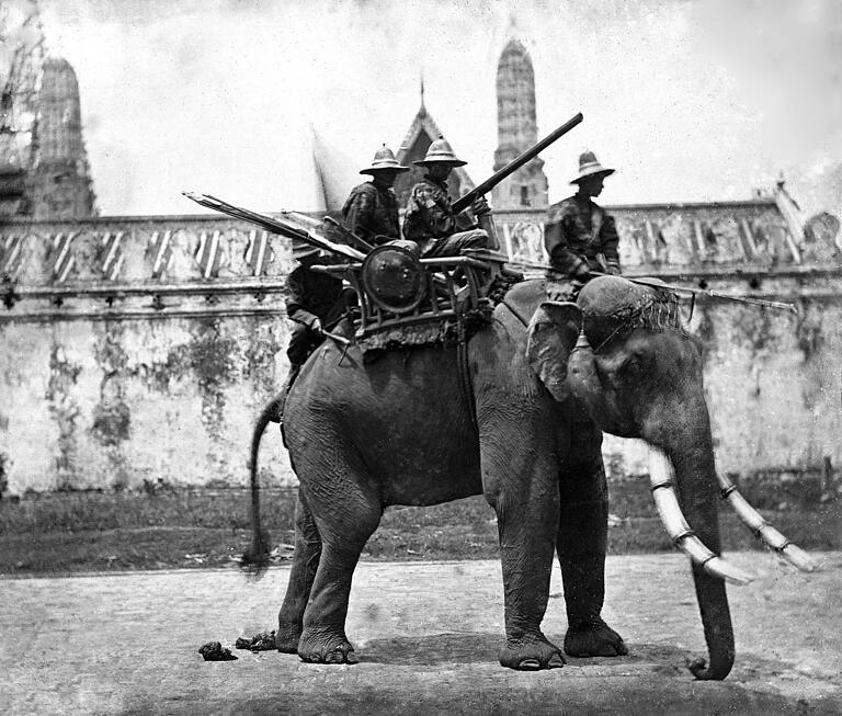 Thailändischer Kriegselefant, Bangkok, um 1912. Historische Fotografie aus dem Museum Fünf Kontinente, München. Thailändischer Kriegselefant, Bangkok, um 1912. Historische Fotografie aus dem Museum Fünf Kontinente, München.