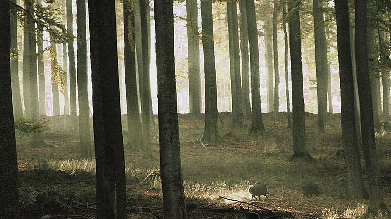 Naturpark Spessart Naturpark Spessart