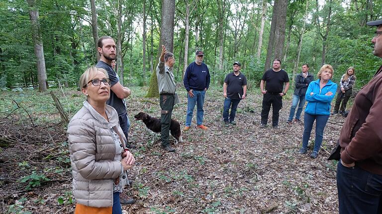 Forstdirektor Hubert Türich: 'Der Wald in Thundorf ist gut aufgestellt, die Schäden sind überschaubar'.       -  Forstdirektor Hubert Türich: 'Der Wald in Thundorf ist gut aufgestellt, die Schäden sind überschaubar'.