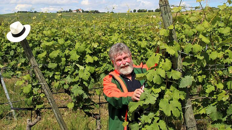 Die Arbeit in den Weinbergen ist die Leidenschaft des Astheimer Kartäusermönchs Leo Wagenhäuser. Die Arbeit in den Weinbergen ist die Leidenschaft des Astheimer Kartäusermönchs Leo Wagenhäuser.