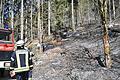 Bereits im April musste die Feuerwehr bei Partenstein zu einem Großeinsatz ausrücken, weil ein Stück Wald brannte. In diesen Tagen hat die Brandgefahr im Landkreis Main-Spessart die höchste Warnstufe erreicht.
