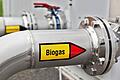 Stoffe aus Biogasanlage ausgelaufen       -  Aus einer Biogasanlage in Thüringen ist Gülle in einen Fluss gelaufen - und hat wohl auch zu Fischsterben in Bayern geführt. (Illustration)