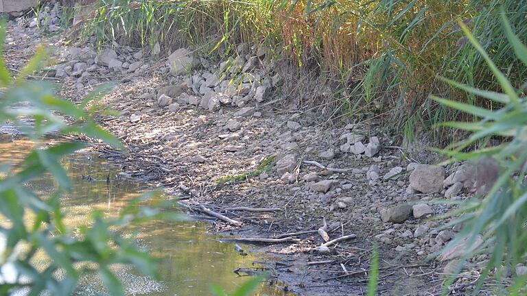 Viel zu wenig Wasser führen derzeit zwei der drei Seen zwischen Gemünd und Jesserndorf.&nbsp;