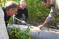 Der Buchenborkenkäfer breitet sich besonders in Trockenjahren aus. Doch er ist nur eine von mehreren Spezies, denn auch andere Baumarten sind betroffen.  Foto: Winfried Ehling       -  Der Buchenborkenkäfer breitet sich besonders in Trockenjahren aus. Doch er ist nur eine von mehreren Spezies, denn auch andere Baumarten sind betroffen.  Foto: Winfried Ehling