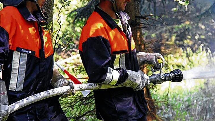 Kreisbrandinspektor Peter Sell (oben mit roter Mütze) hatte ein wachsamesAuge auf die Feuerwehrleute,die im Wald löschten.