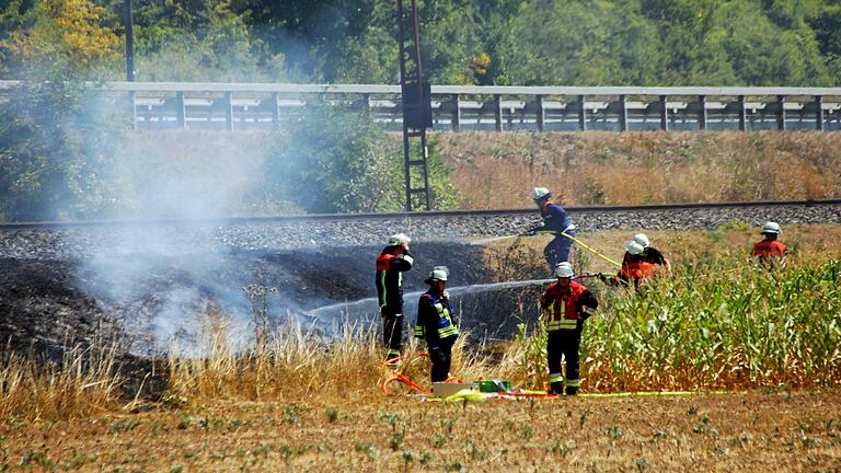 Am Bahndamm der Strecke Karlstadt-Würzburg kurz nach dem Furnierwerk Kohl ist ein Feuer ausgebrochen.