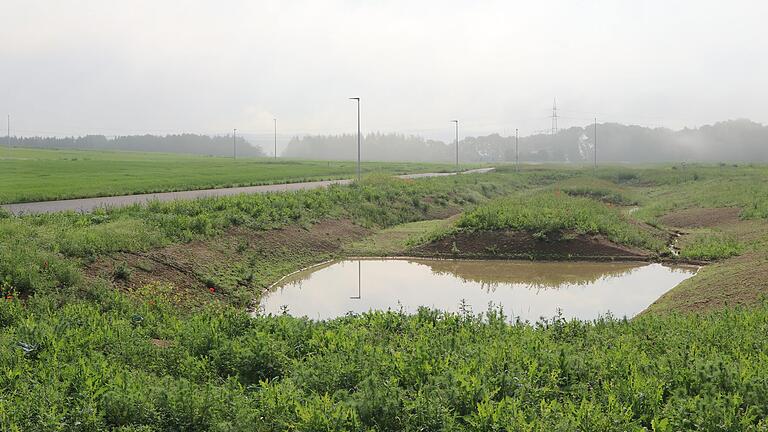 Das Regenwasser im Gewerbepark Söllershöhe bei Altfeld (hier ein Archivbild) soll möglichst vor Ort versickern und genutzt werden. Zwei große Regenrückhaltebecken sind dafür in Planung.&nbsp;