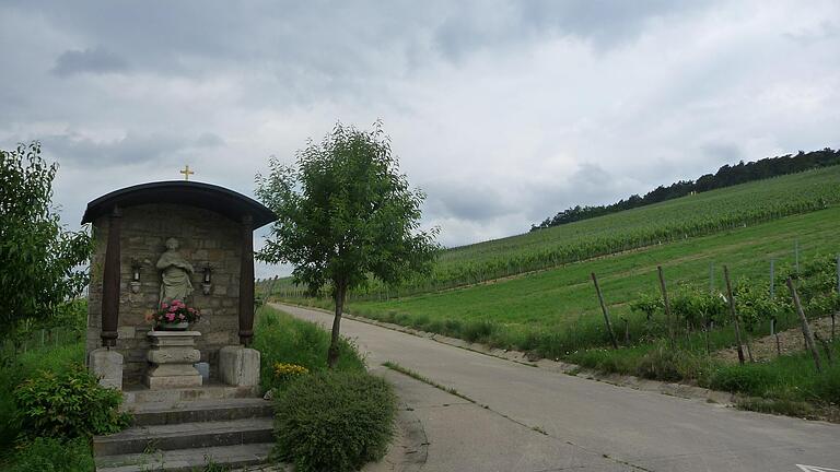 Auf dem Lügensteinweg kann beim Spaziergang einer Lüge auf den Grund gegangen werden.&nbsp;