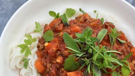 Die gekeimte Linsen-Bolognese kann mit frischen Kräutern serviert werden.