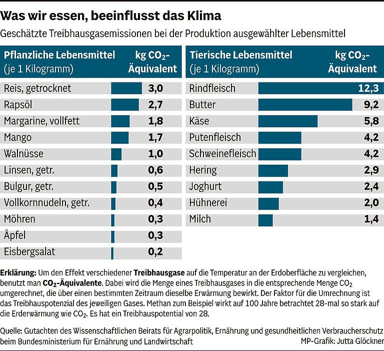 Fleisch essen für den Klimaschutz? Was ein Experte zur Aussage des bayerischen Bauernpräsidenten sagt Fleisch essen für den Klimaschutz? Was ein Experte zur Aussage des bayerischen Bauernpräsidenten sagt