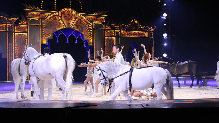 Clowniere, spektakuläre Akrobatik und prächtige Tiere - der Circus Krone gastiert in Bad Neustadt und zeigt ein Programm der Spitzenklasse