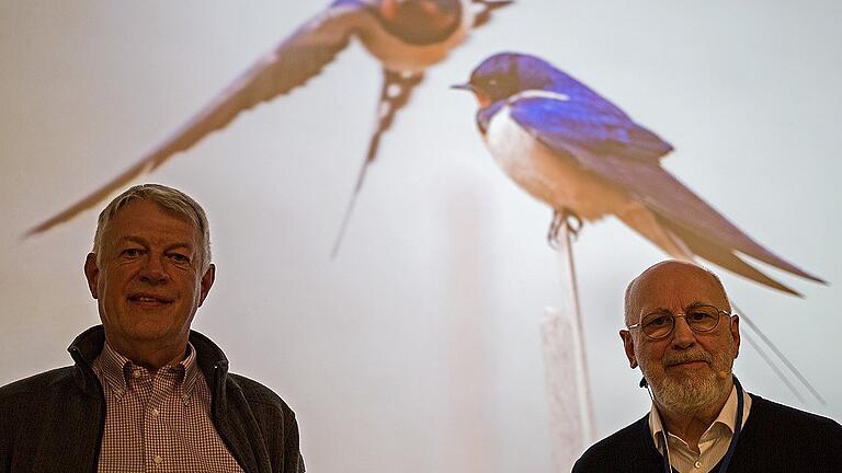 Hartwig Brönner (links) und Richard Sims informierten in der Alten Turnhalle in Lohr über das Mauersegler-Schwalben-Projekt des LBV.