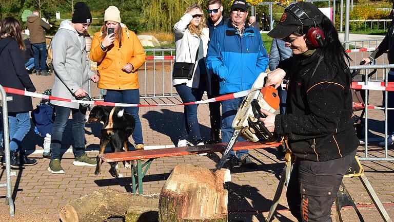 Da fliegen die Späne auf dem Holzmarkt in Frammersbach: Susanne Schillinger aus Steinfeld-Waldzell demonstriert, wie aus einem Stück Stamm mit der Kettensäge Figuren und Skulpturen  entstehen.